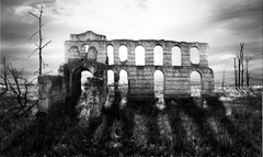 Palais Gallien arbres nb